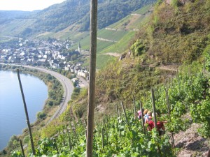 moselle valley 7